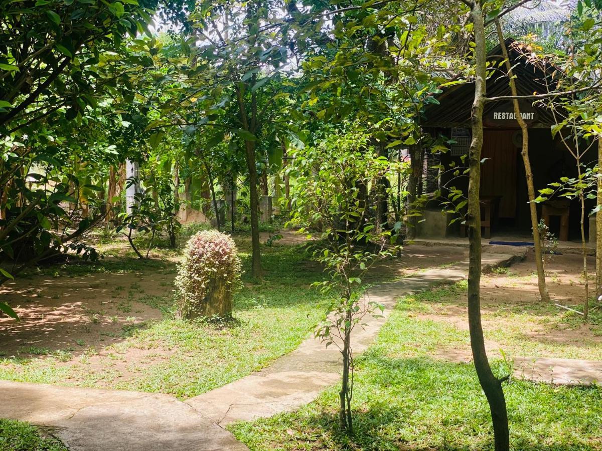 Girilena Resort دامبولا المظهر الخارجي الصورة